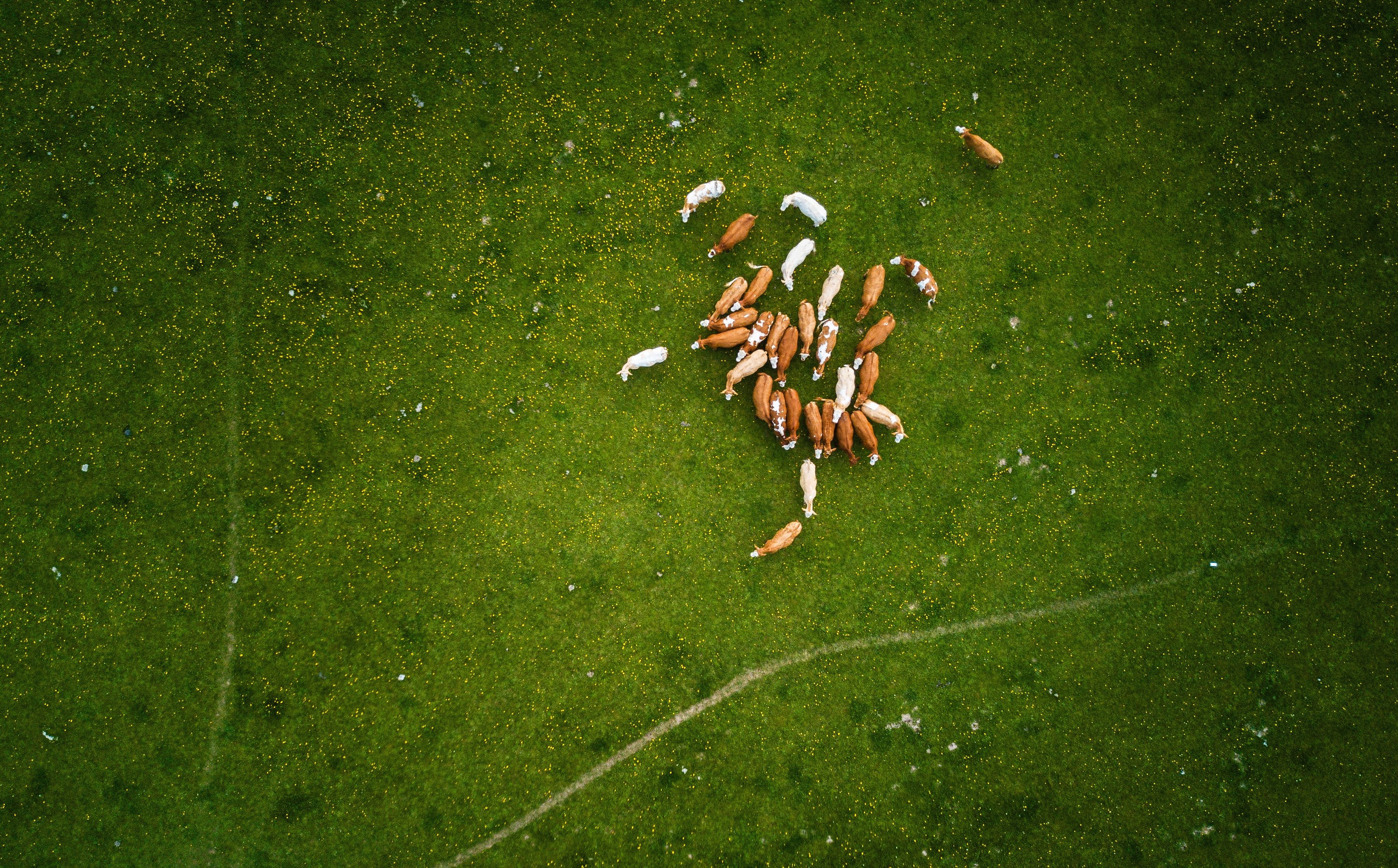 aerial-aerial-shot-aerial-view-753868