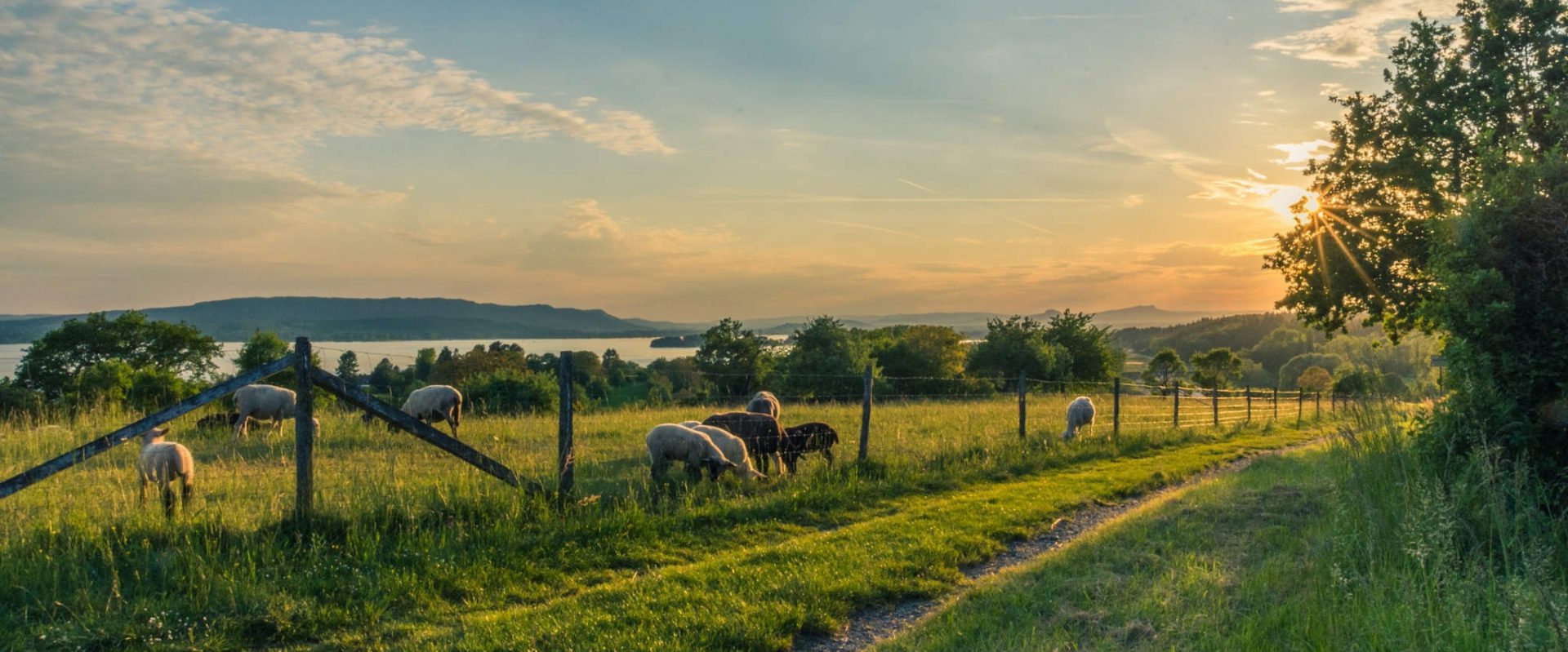 cropped-cropland-dawn-farm-158179.jpg cropped-cropland-dawn-farm-158179.jpg